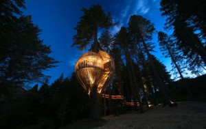 Redwoods Treehouse, Окленд, Нова Зеландія.